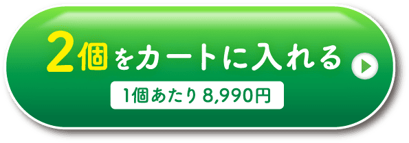 2個をカートに入れる
