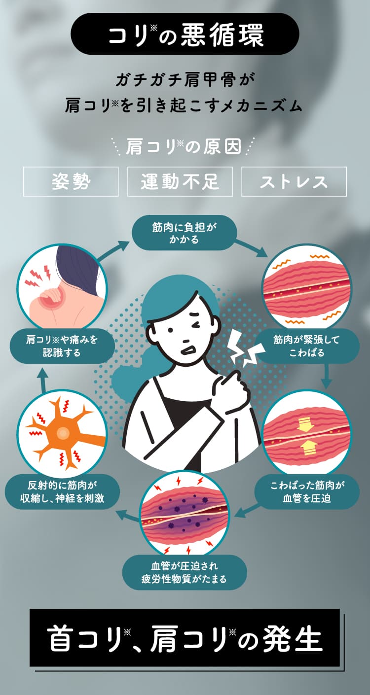 コリの悪循環 首コリ、肩コリの発生