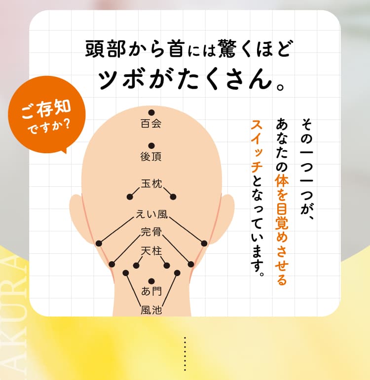 頭部から首には驚くほどツボがたくさん。