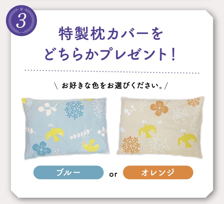 特製枕カバーをどちらかプレゼント！