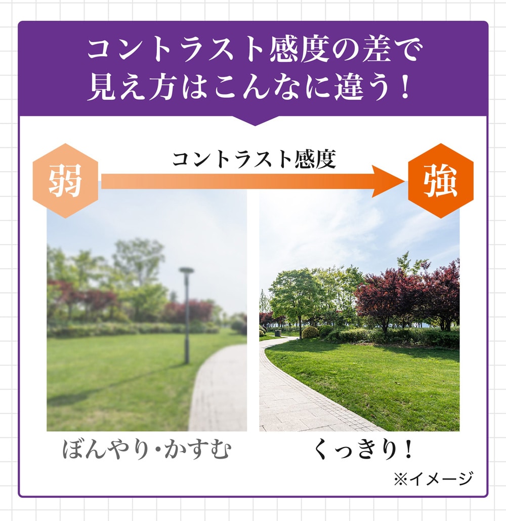 ルテインを摂ると黄斑部の色素密度が上昇することが分かりました