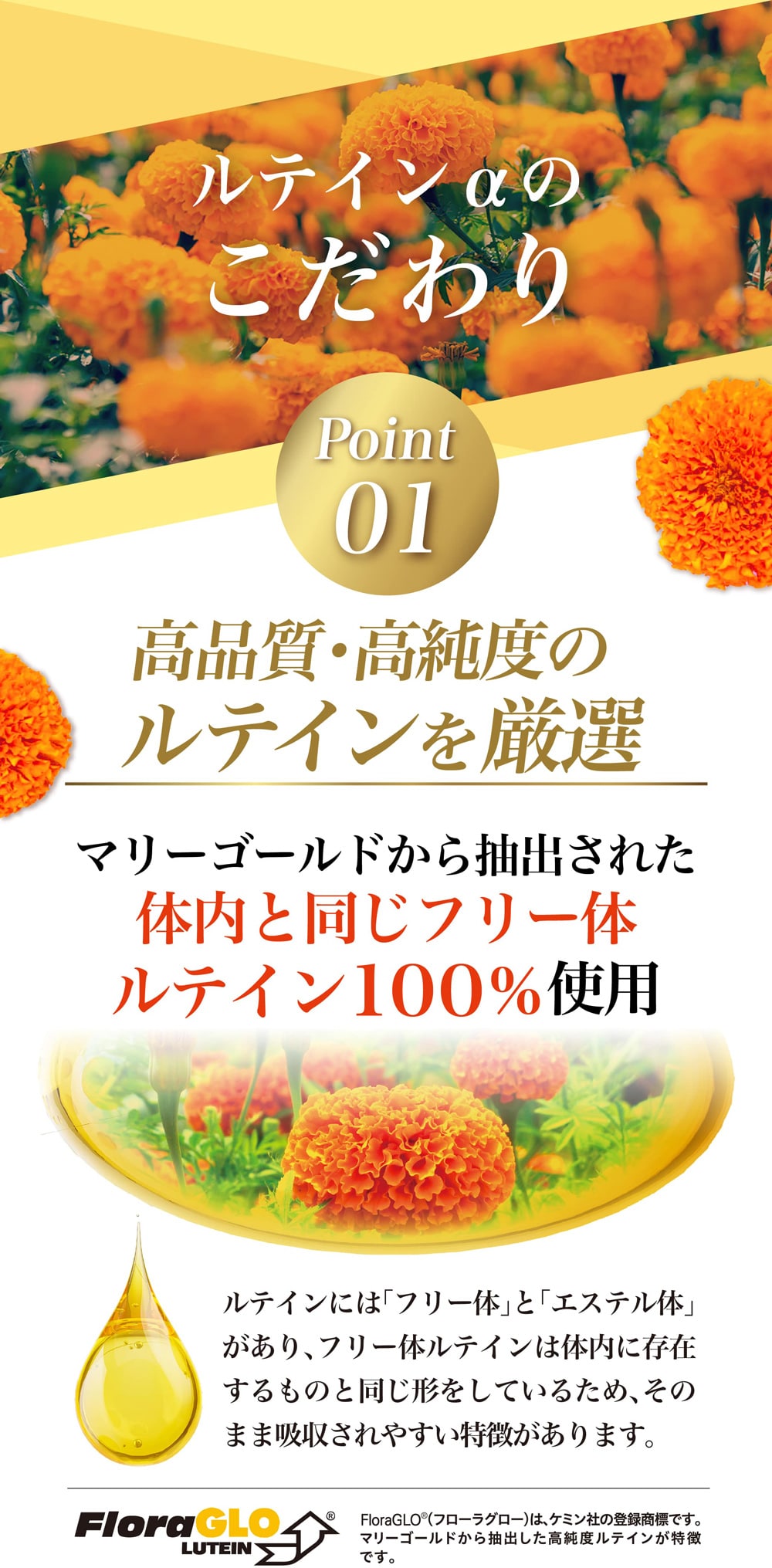 コントラスト感度の差で見え方はこんなに違う！