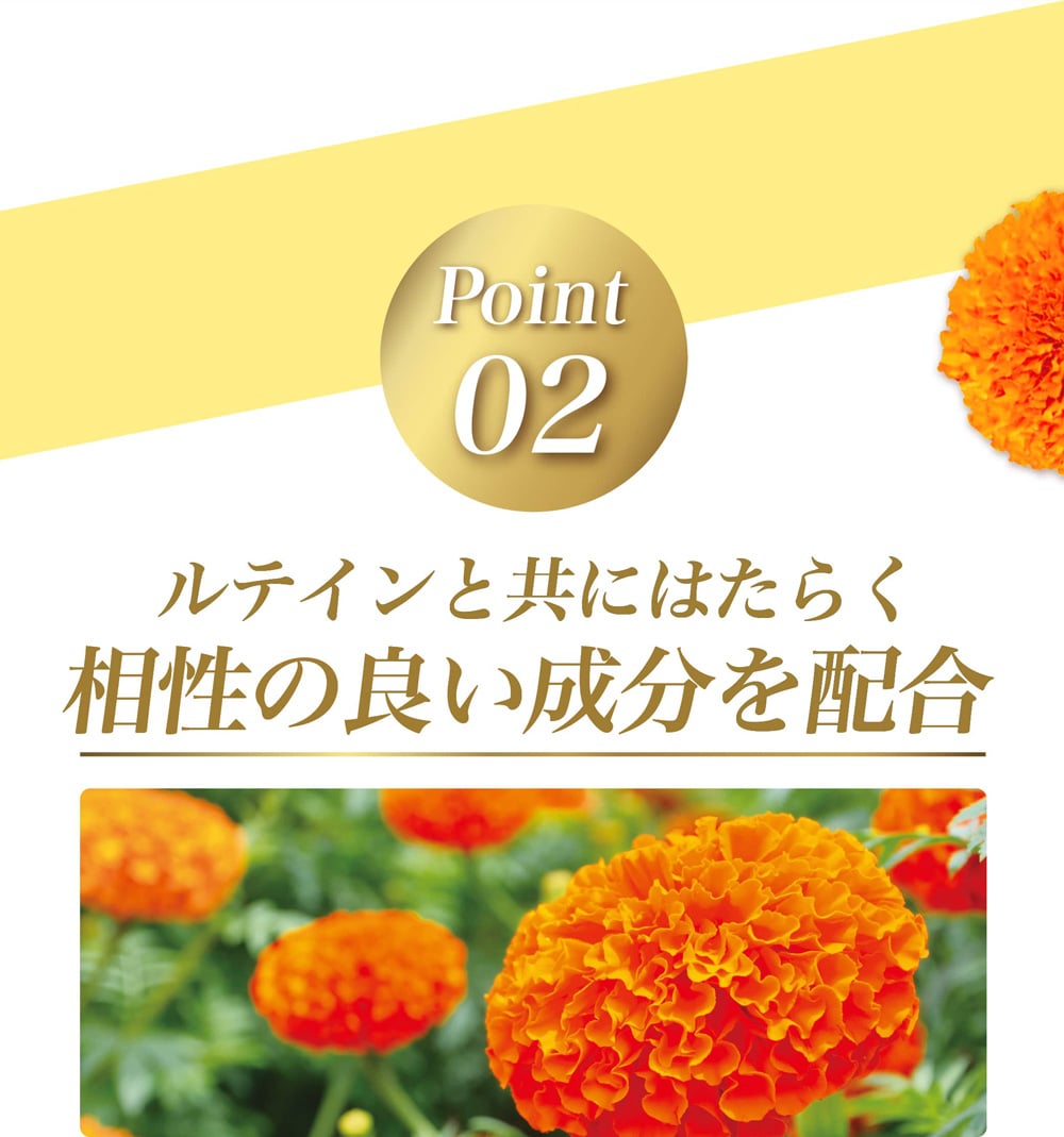 ルテインαなら１日１粒で目の調子を整える。ルテイン１０ｍｇ。ゼアキサンチン２ｍｇ。
