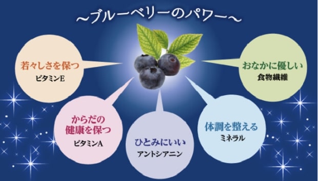 ブルーベリーの持つパワー