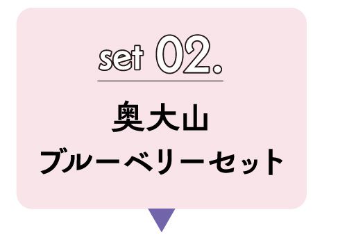 セット０２．奥大山ブルーベリーセット