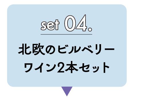 北欧のビルベリーワイン２本セット