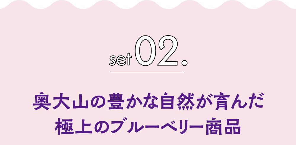 セット０１．奥大山の豊かな自然が育んだ極上のブルーベリー商品