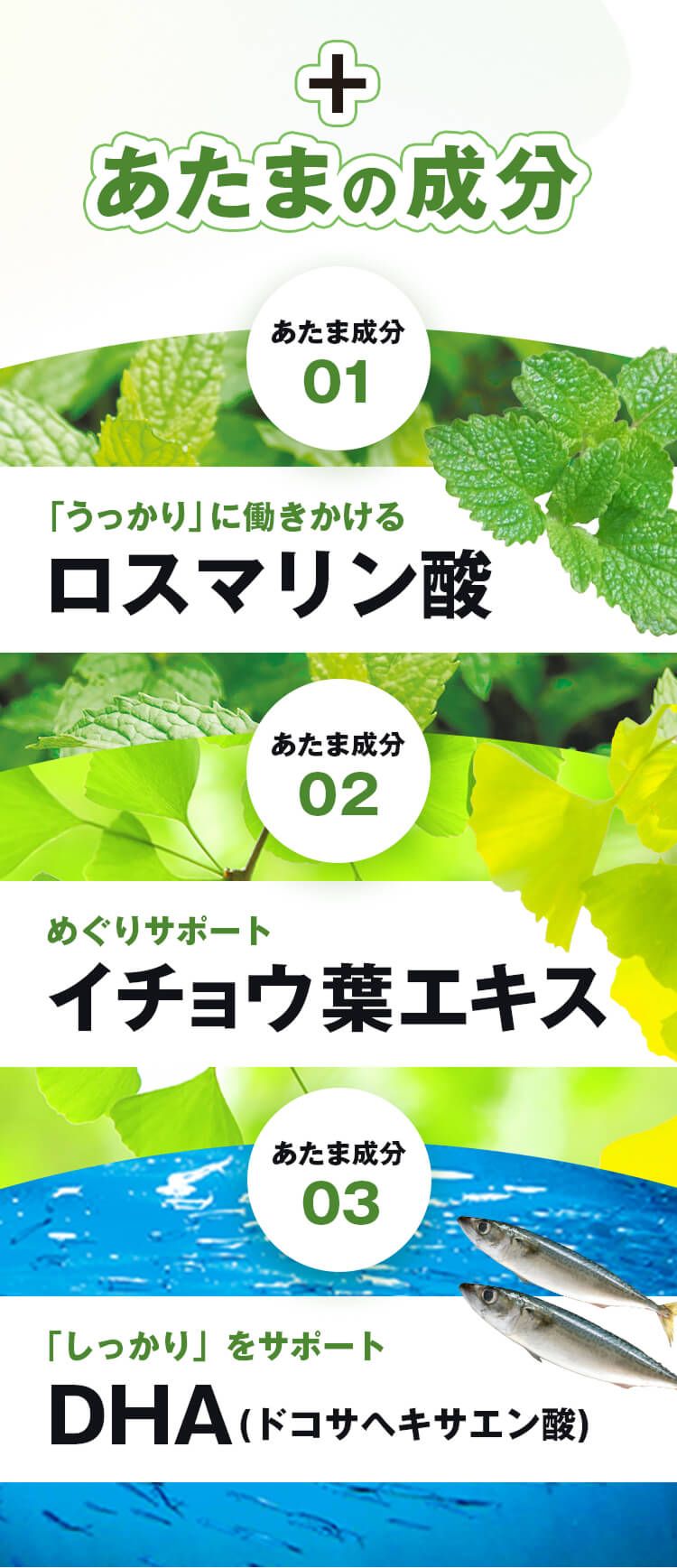 ＋あたまの成分。ロスマリン酸。イチョウ葉エキス。ＤＨＡ