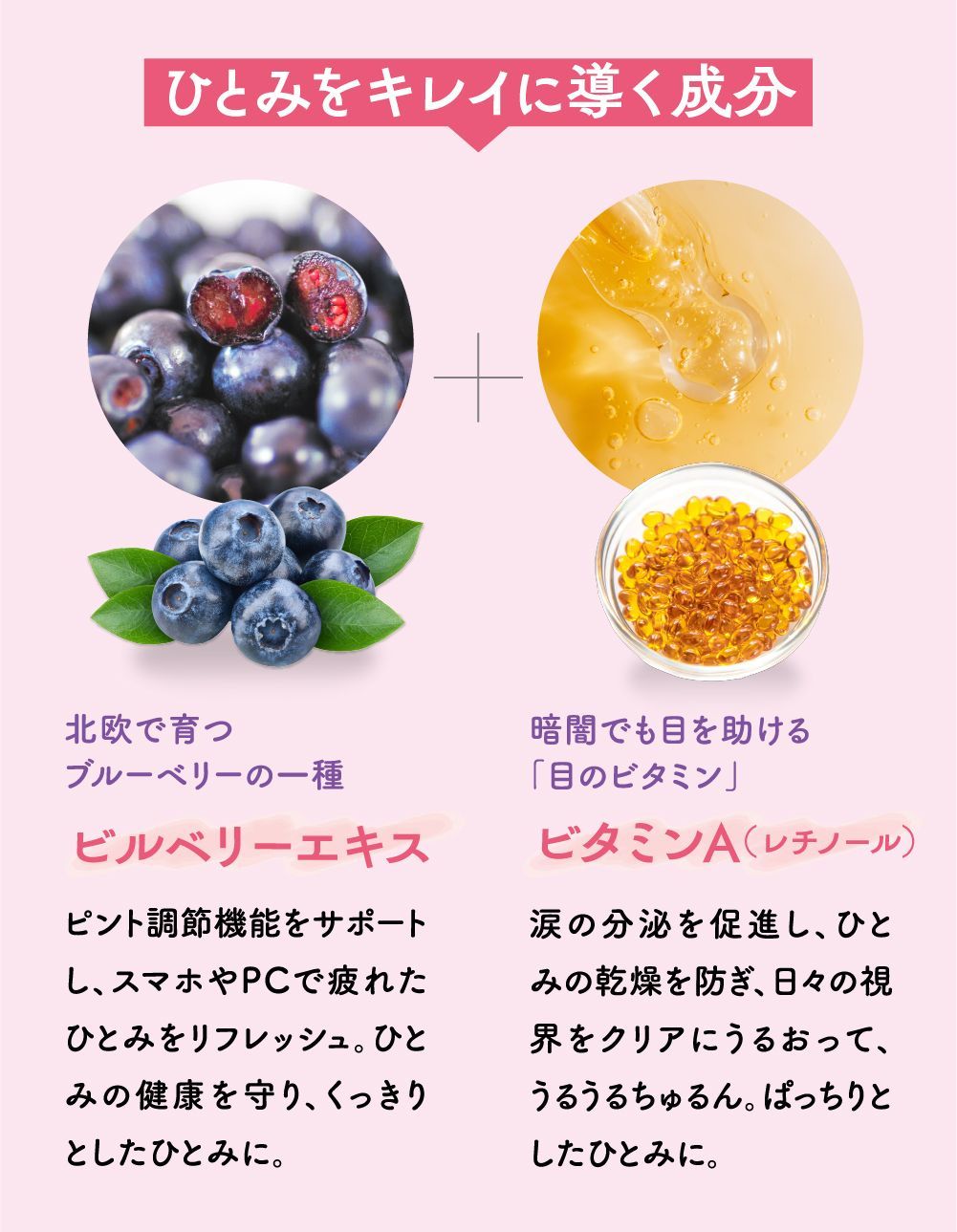 ひとみをキレイに導く成分。北欧で育つブルーベリーの１種。ビルベリーエキスと暗闇でも目を助ける目のビタミン。ビタミンＡ