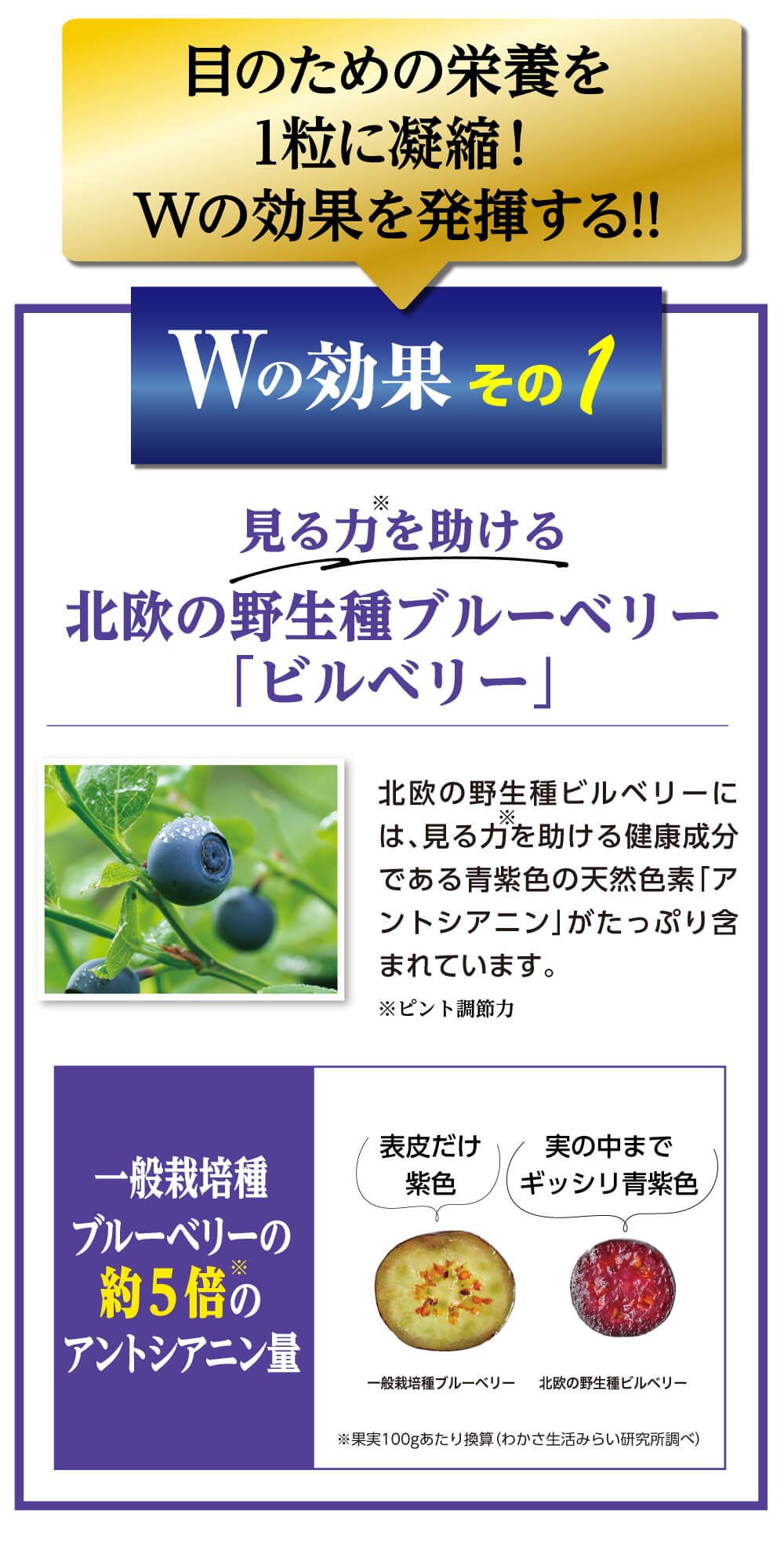 目のための栄養を1粒に凝縮！Wの効果を発揮する！Wの効果その１。見る力を助ける北欧の野生種ブルーベリー「ビルベリー」