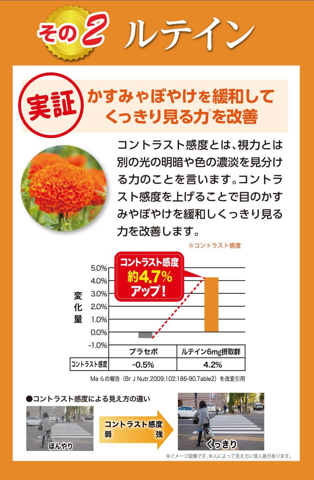 こだわりその２。かすみやぼやけを緩和してくっきり見る力を改善。コントラスト感度とは、視力とは別の光の明暗や色の濃淡を見分ける力のことを言います。コントラスト感度を上げることで目のかすみやぼやけを緩和しくっくり見る力を改善します。