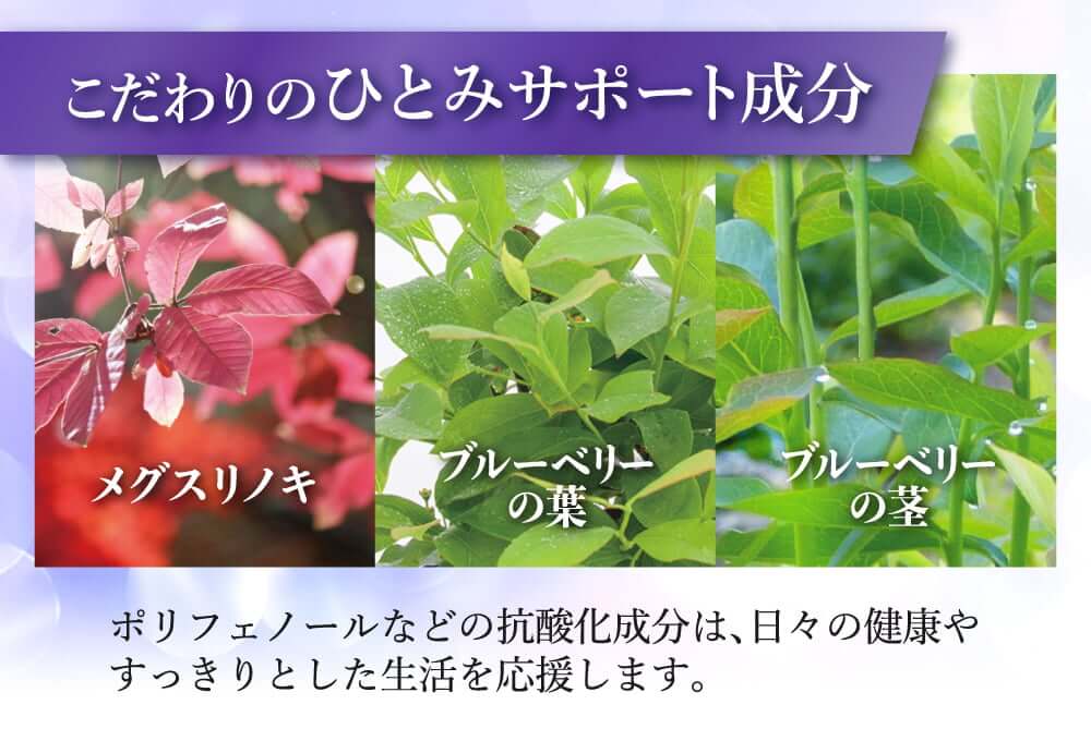 実感のカギは、ひとみのための配合にとことんこだわった１５種類の成分。北欧産野生種ブルーベリー使用。ナノビルーエキス100mg。ルテイン6mg。カシス6mg。ひとみとからだの健康を考えた厳選成分。