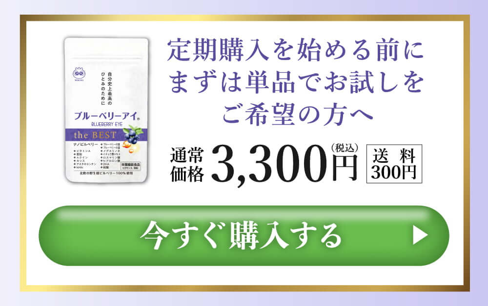 今すぐ購入する