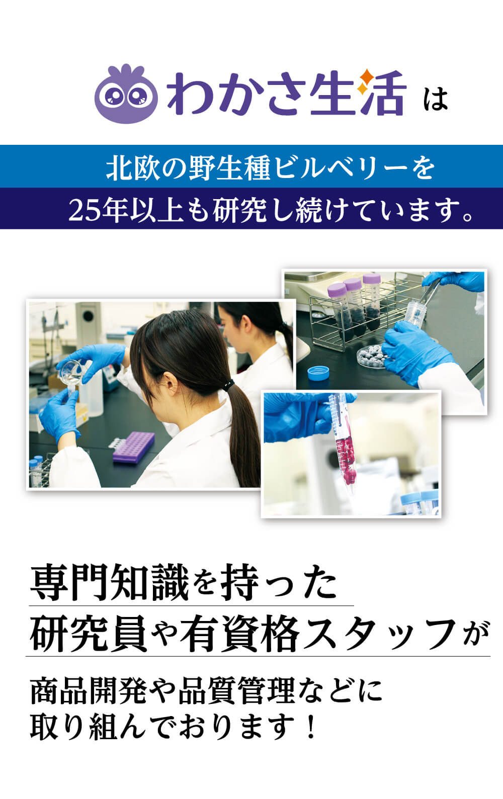 わかさ生活は、北欧の野生種ビルベリーを２５年以上も研究し続けています。