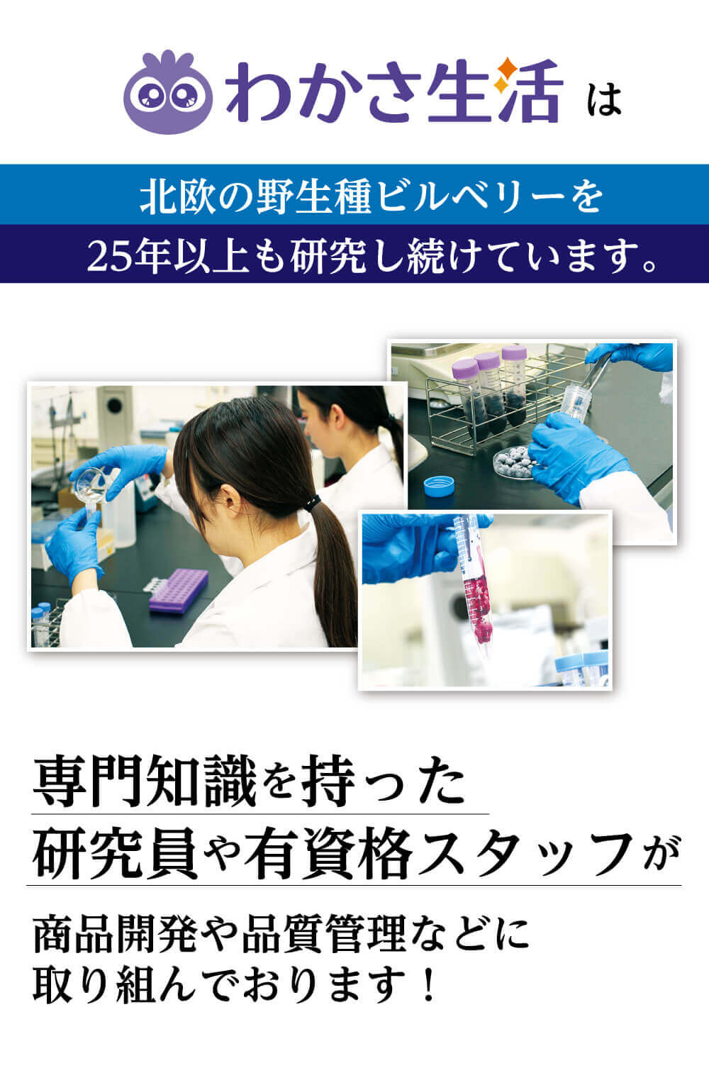 わかさ生活は、北欧の野生種ビルベリーを25年以上も研究し続けています。