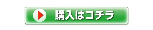 購入はこちら