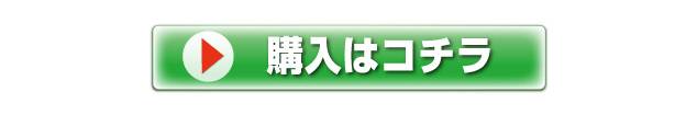 購入はこちら