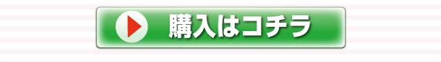 購入はこちら