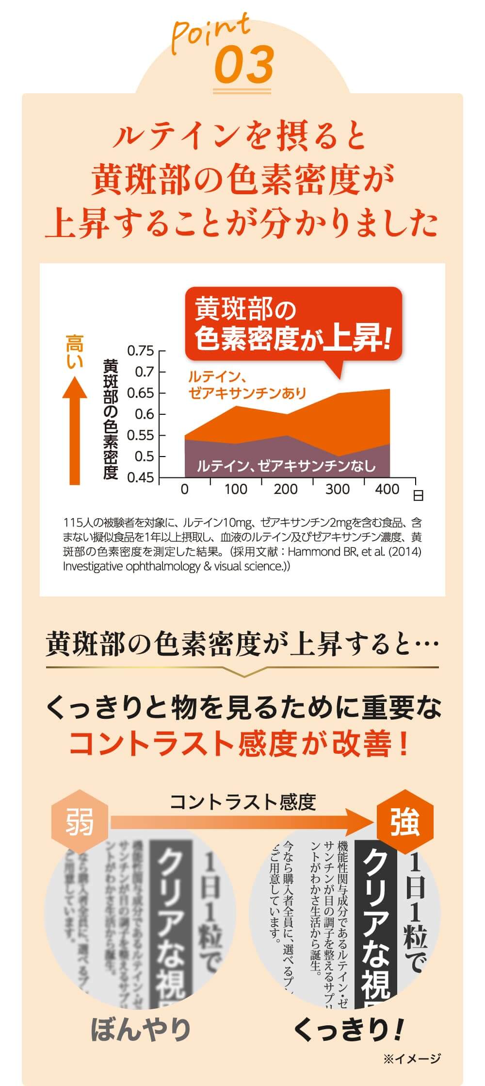 ルテインを摂ると黄斑部の色素密度が上昇することが分かりました