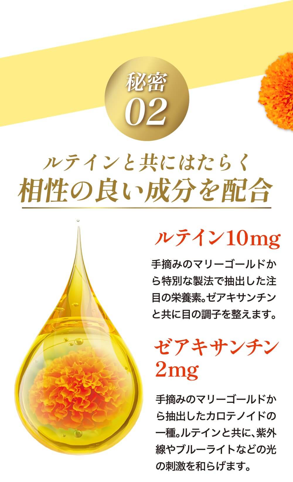 ルテインと共にはたらく相性の良い成分を配合