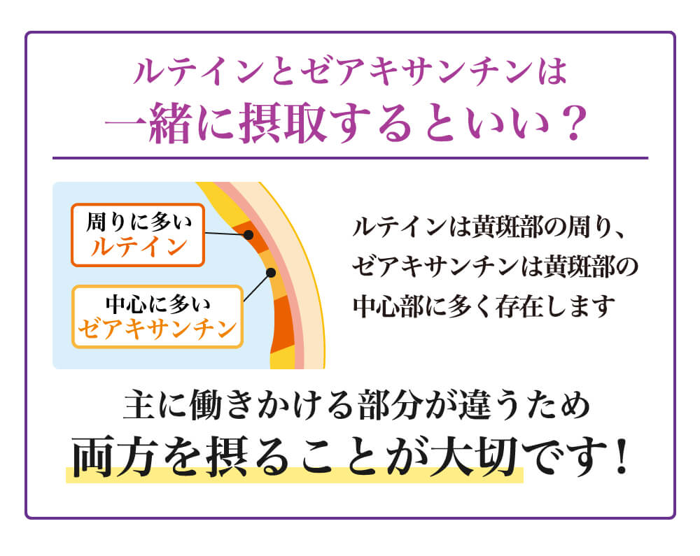 ルテインとゼアキサンチンは一緒に接種するといい？