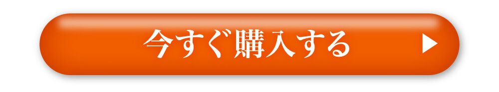 今すぐ購入する