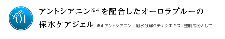 poitn01 アントシアニン※4を配合したオーロラブルーの保水ケアジェル