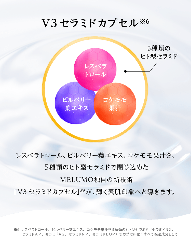 V3セラミドカプセル※6