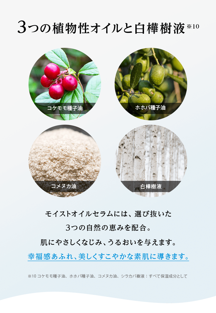 3つの植物性オイルと白樺樹液※10