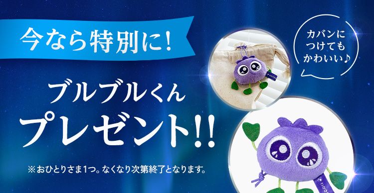 今なら特別に！ブルブルくんプレゼント！！