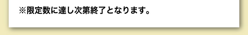 限定数に達し次第終了となります。