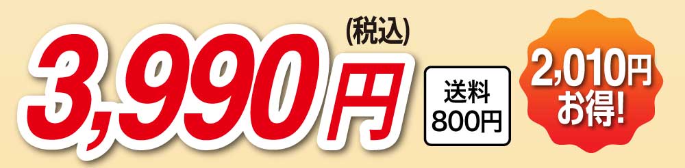 3,990円（税込）2,010円お得！