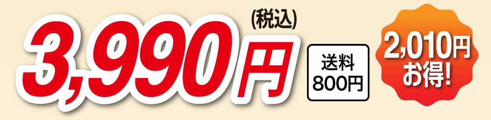 3,990円（税込）2,010円お得！