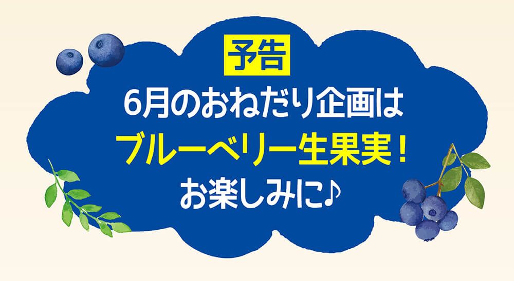 予告：６月のおねだり企画はブルーベリー生果実！お楽しみに♪