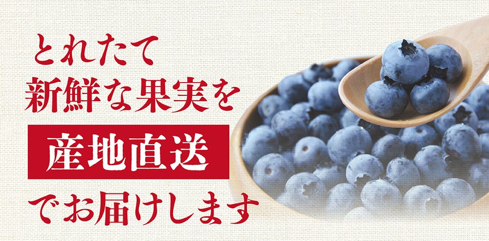 とれたて新鮮な果実を産地直送でお届けします