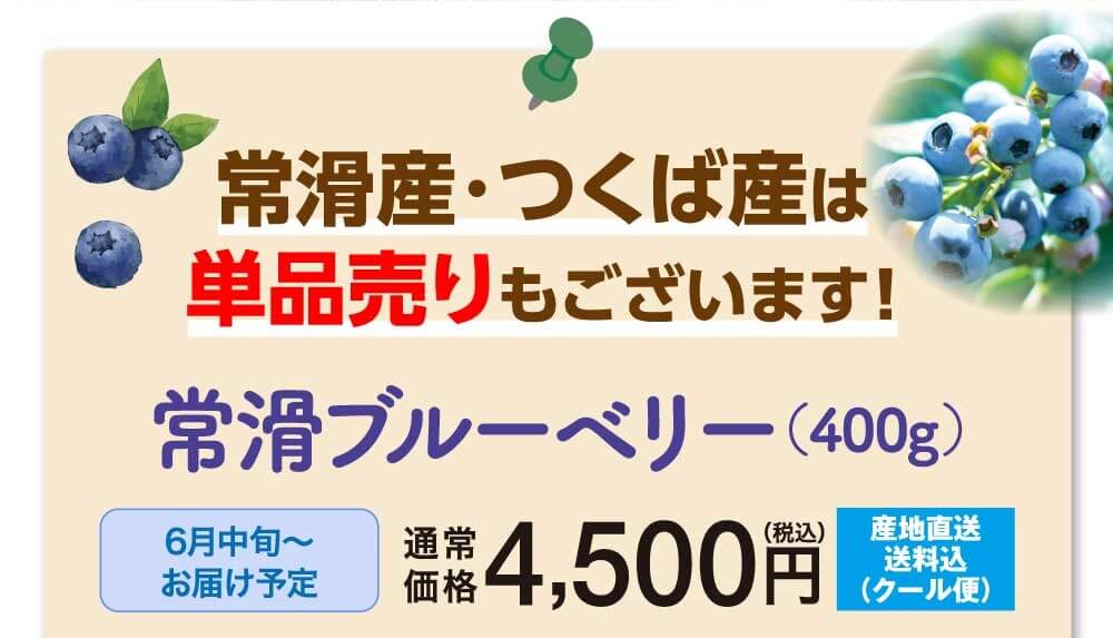 常滑産・つくば産は単品売りもございます！常滑ブルーベリー（400g）4,500円