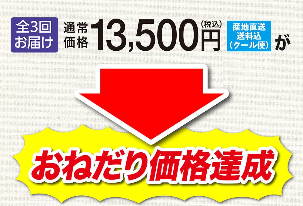 通常価格13,500円