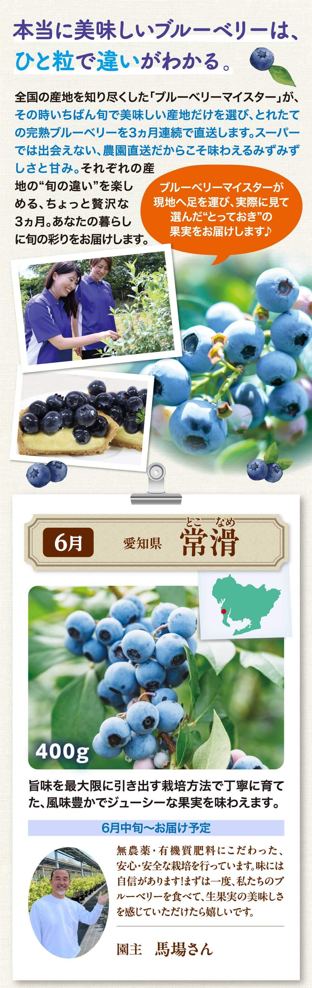 本当に美味しいブルーベリーは、ひと粒で違いがわかる。６月常滑