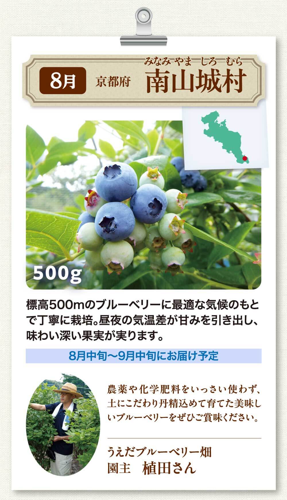 ８月南山城村