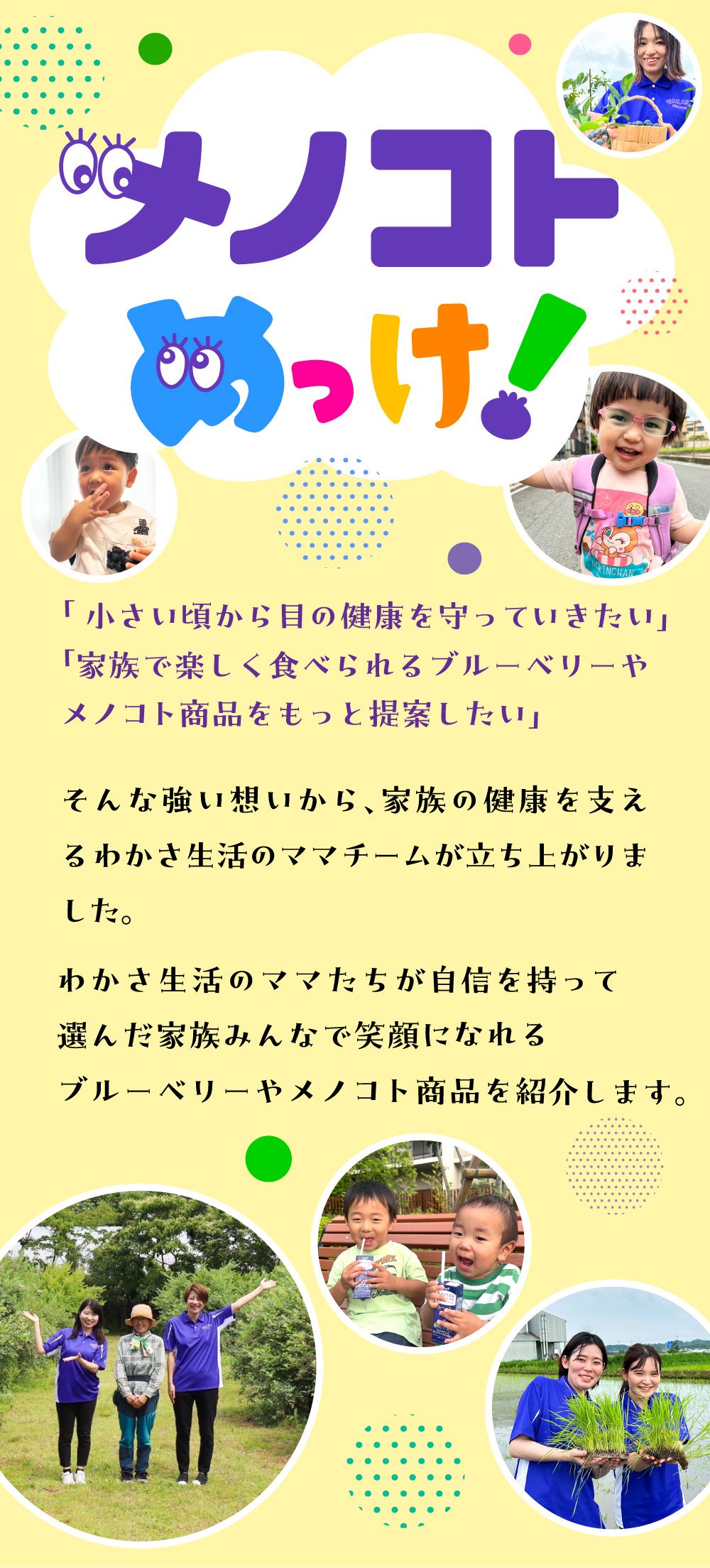 メノコトめっけ！子どもの小さいころから目の健康を守っていきたい。家族で楽しく食べられるブルーベリーやメノコト商品をもっと提供したい。そんな強い想いから家族の健康を支えるわかさ生活のママチームが立ち上がりました。