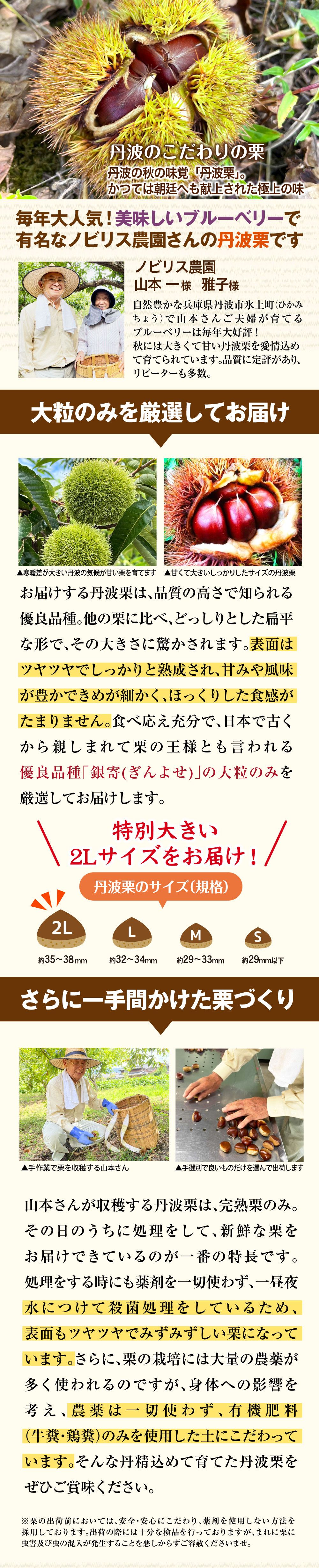 毎年大人気！美味しいブルーベリーで有名なノビリス農園さんの丹波栗です