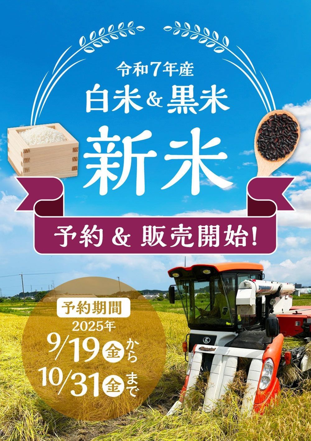 令和７年産・白米＆黒米の新米。予約＆販売開始9月19日～１０月３１日