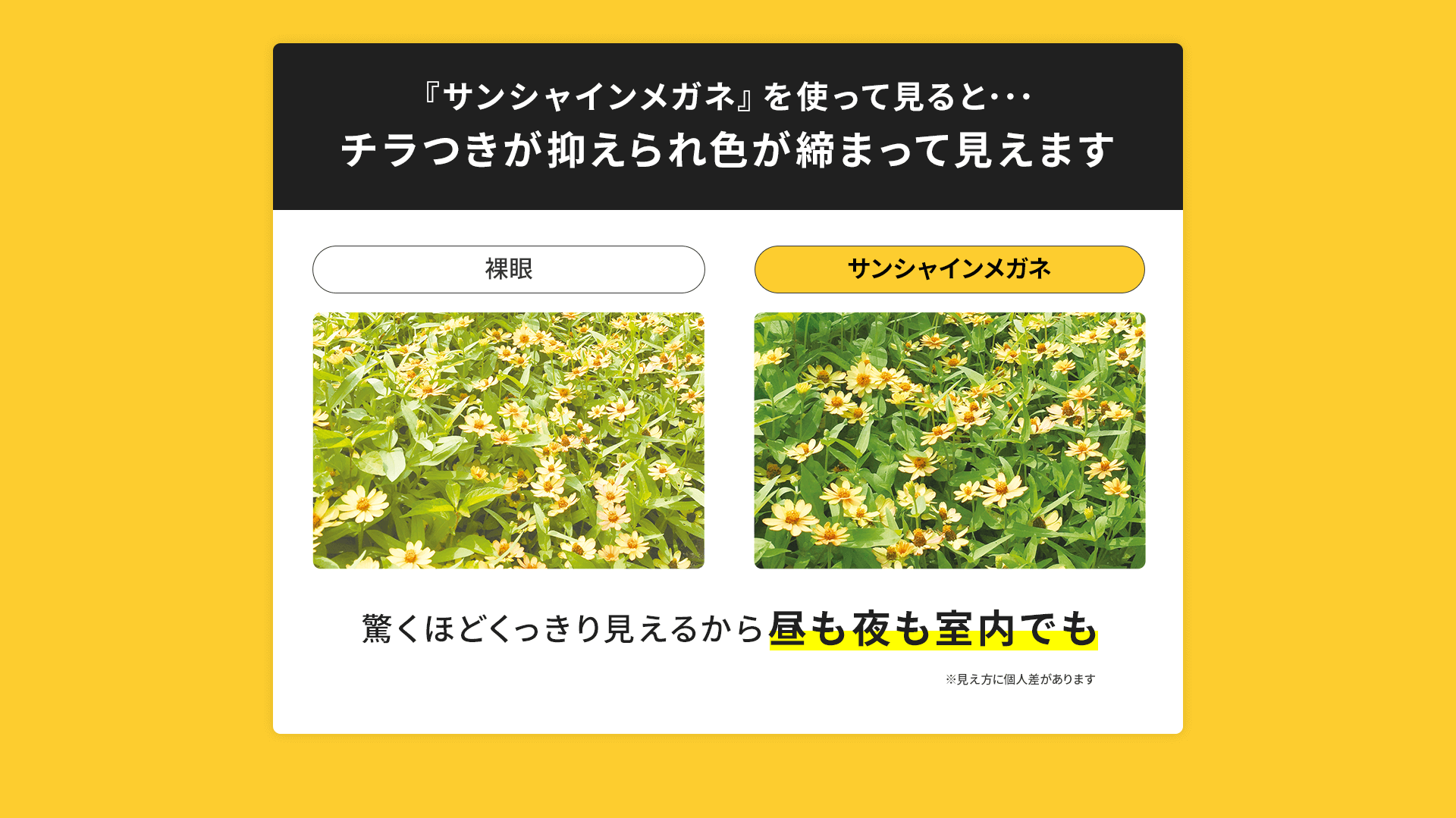 『サンシャインメガネ』を使って見ると･･･チラつきが抑えられ、居ろが締まって見えます