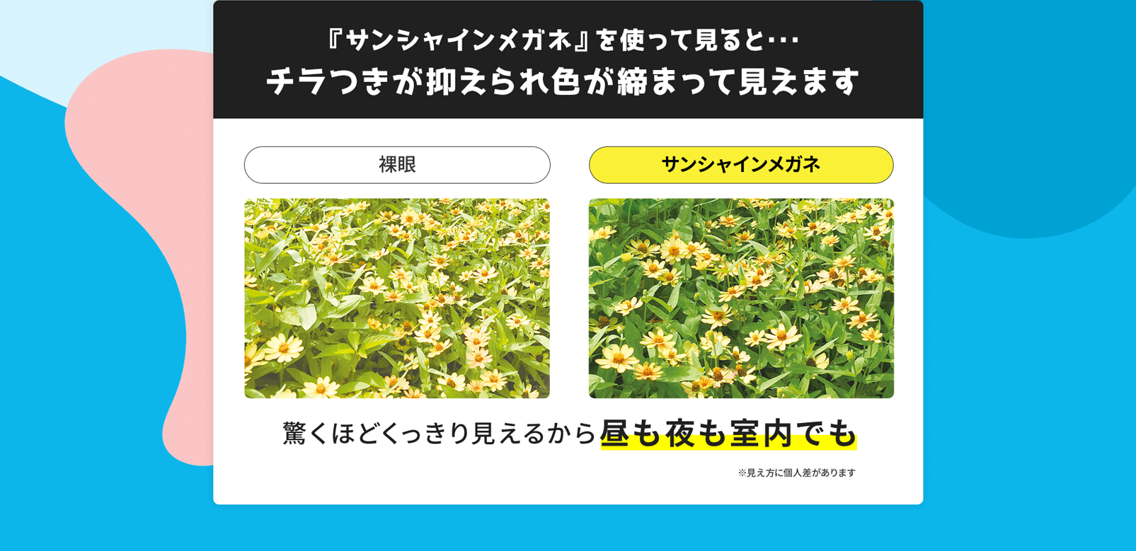 『サンシャインメガネ』を使って見ると･･･チラつきが抑えられ、居ろが締まって見えます