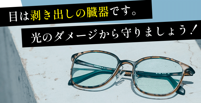 目はむき出しの臓器です、光のダメージから守りましょう！