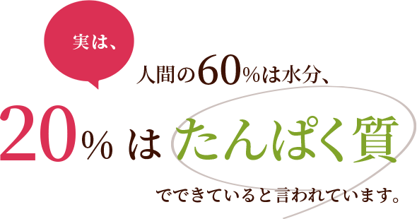 人間の60%は水分、20%はたんぱく質でできていると言われています。