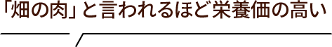 「畑の肉」と言われるほど栄養価の高い