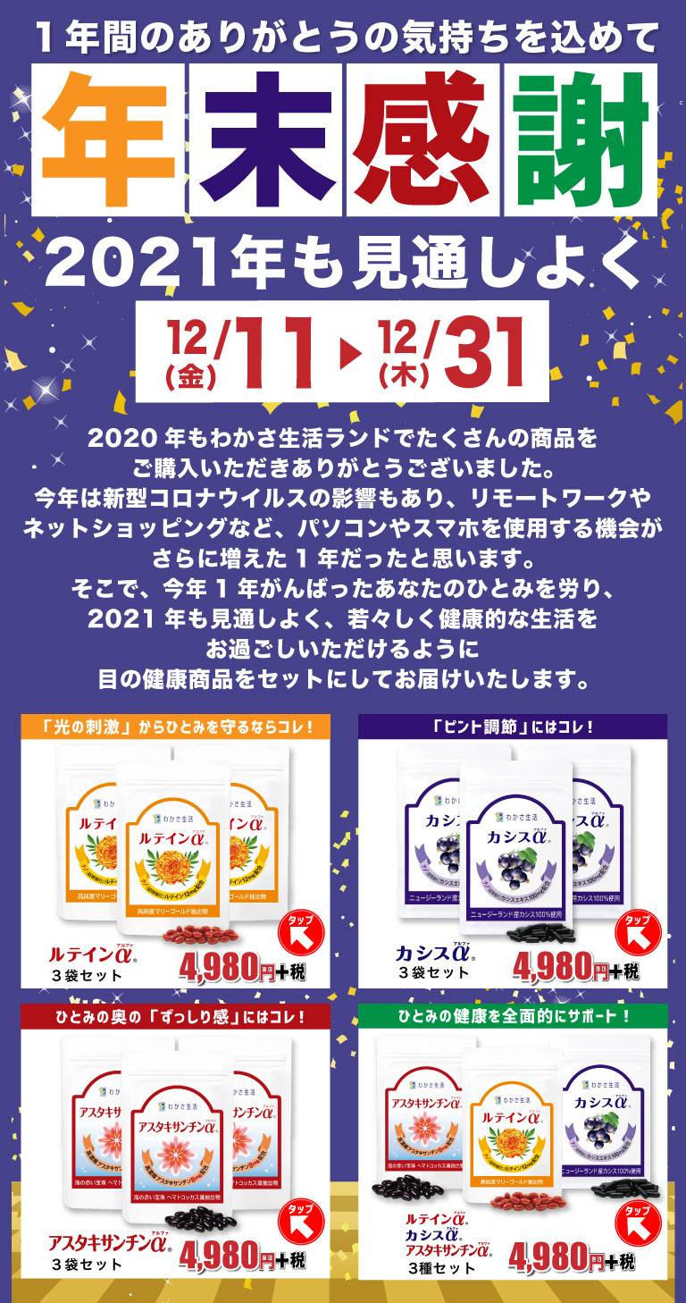 1年間のありがとうの気持ちを込めて年末感謝デジタルチラシ