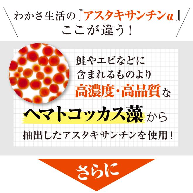 クロセチン、カキ抽出物、ローヤルゼリー、トマトリコピン、オリーブオイルとアスタキサンチンと相性の良い成分も配合