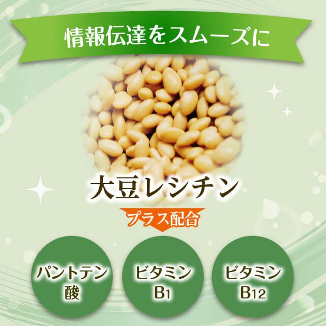 60代からのあたまサプリには大豆レシチン・パントテン酸・ビタミンビーワン・ビタミンビージュウニが配合されてます